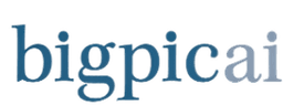 BigpicAI Logo